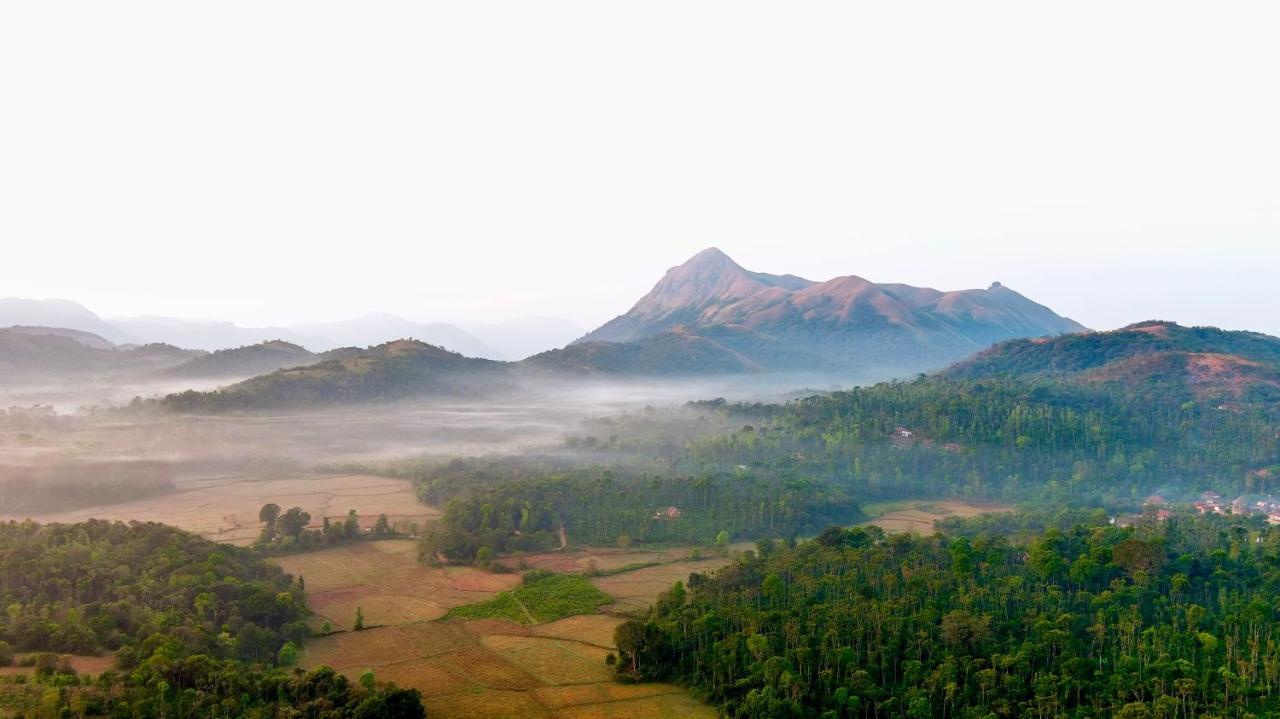 Machaan Plantation Resort, Sakleshpur Dış mekan fotoğraf