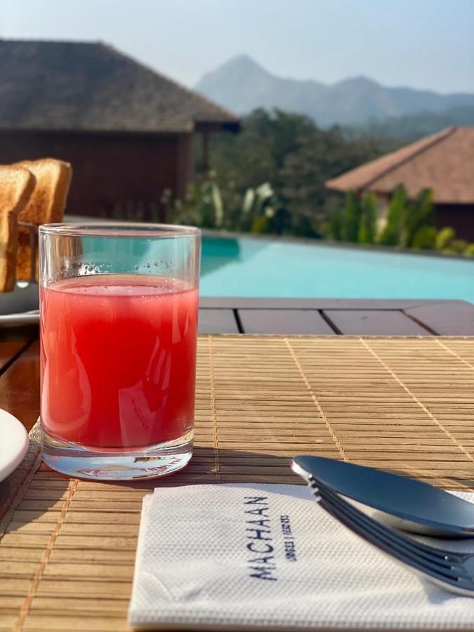 Machaan Plantation Resort, Sakleshpur Dış mekan fotoğraf
