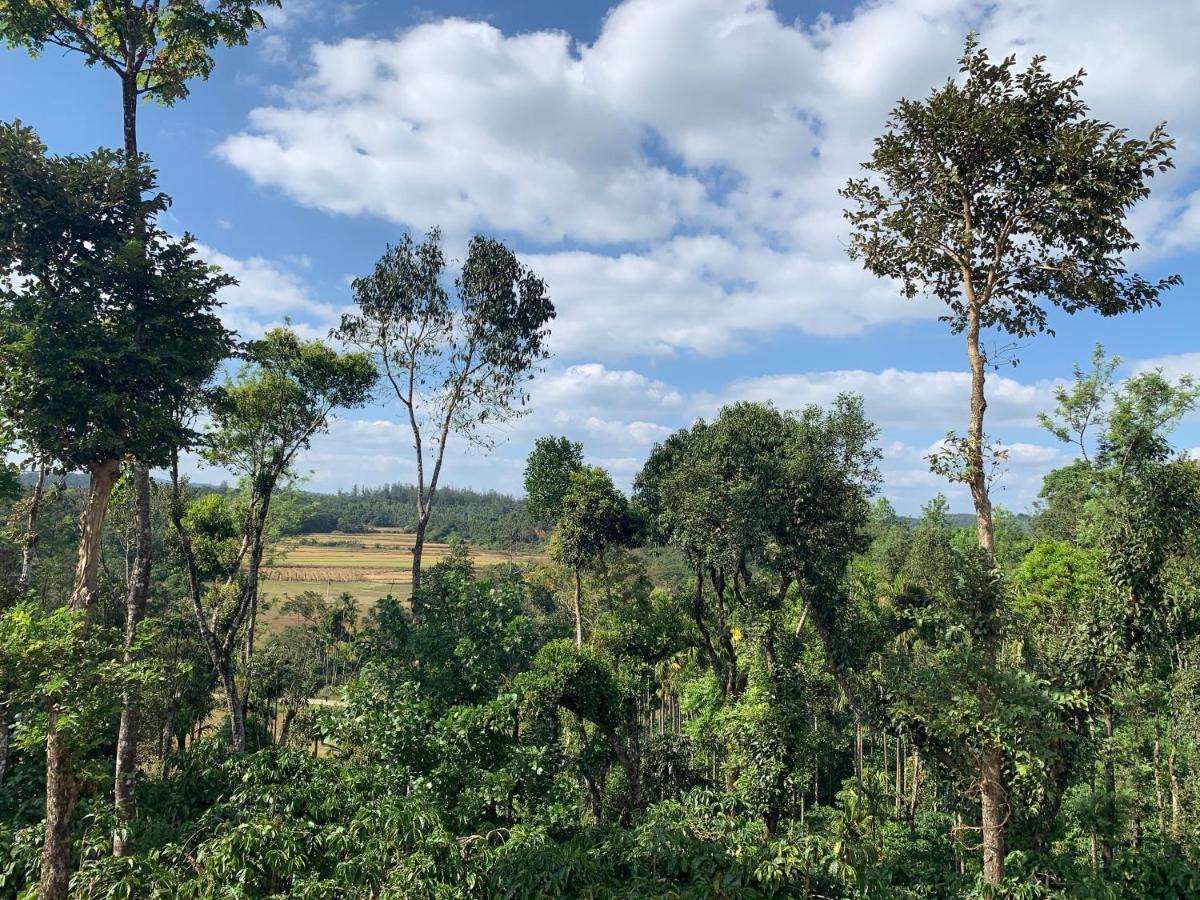 Machaan Plantation Resort, Sakleshpur Dış mekan fotoğraf